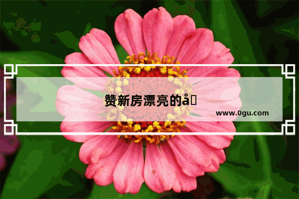 赞新房漂亮的句子