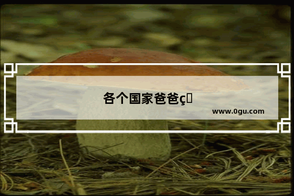 各个国家爸爸的读法