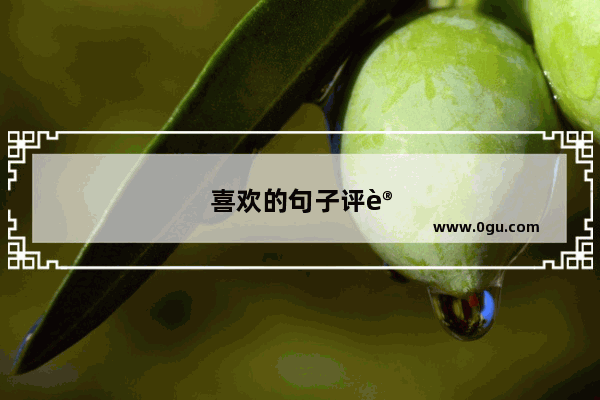 喜欢的句子评论