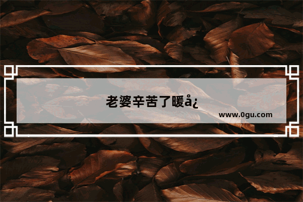 老婆辛苦了暖心句子高情商
