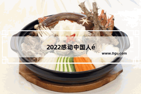 2022感动中国人颁奖词