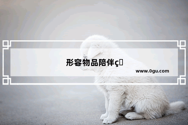 形容物品陪伴的句子唯美短句