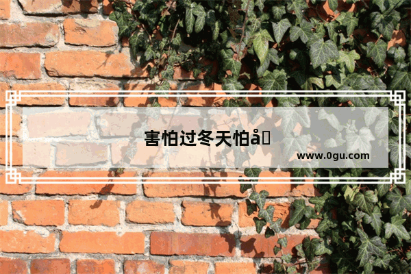害怕过冬天怕冷伤感的文案