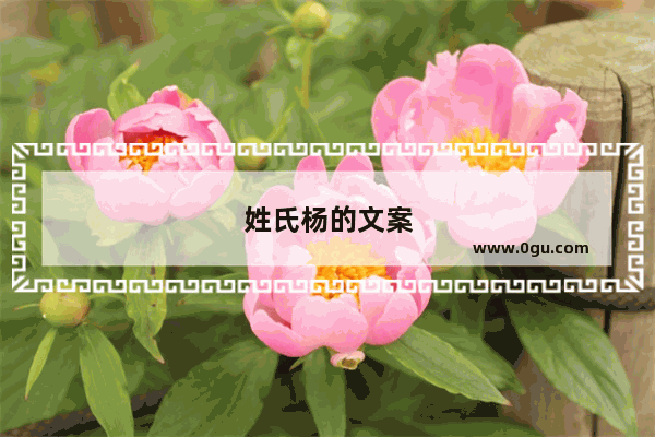 姓氏杨的文案