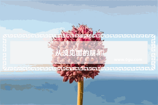 从没见面的朋友聊天甚欢的句子