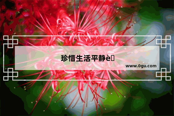 珍惜生活平静而美好的句子简短