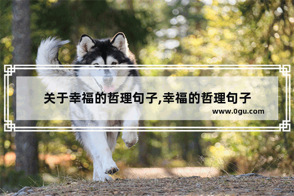 关于幸福的哲理句子,幸福的哲理句子