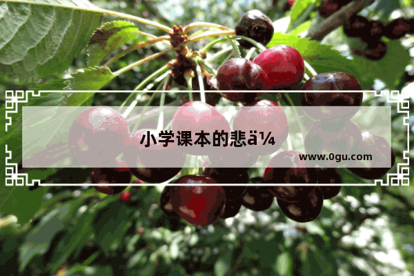 小学课本的悲伤的故事