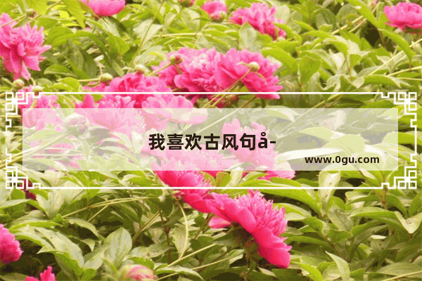 我喜欢古风句子怎么写