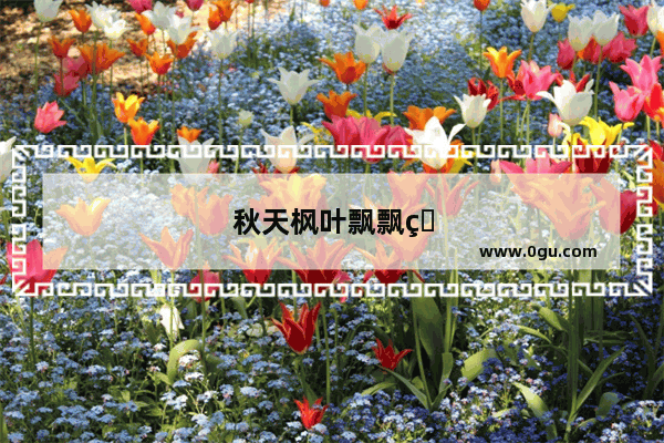 秋天枫叶飘飘的句子唯美短句