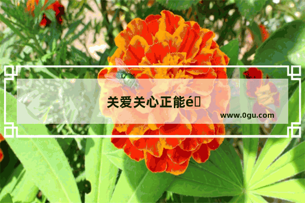 关爱关心正能量句子简短