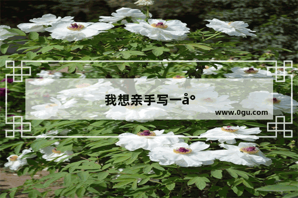 我想亲手写一封承诺书送给我女友 我很爱她 并想照顾她一辈子 要用什么句子表达