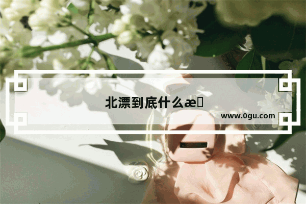 北漂到底什么意思