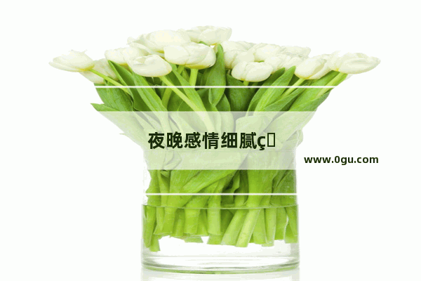 夜晚感情细腻的句子简短