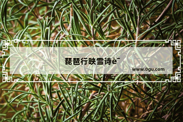 琵琶行映雪诗词