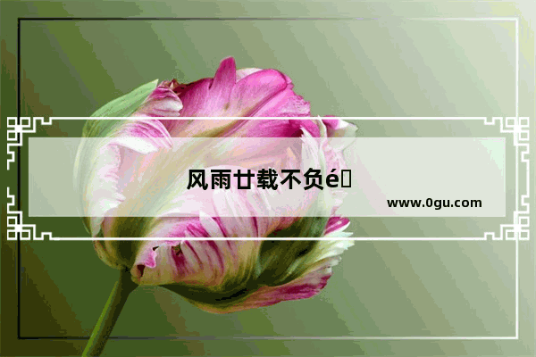 风雨廿载不负韶华全诗