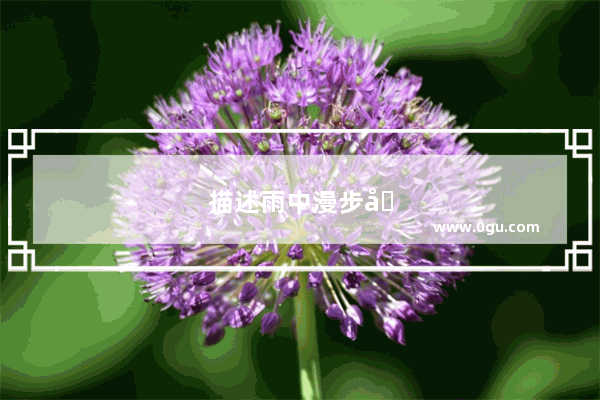 描述雨中漫步唯美的句子简短