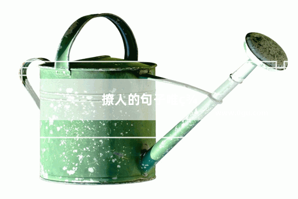 撩人的句子唯美短句干净