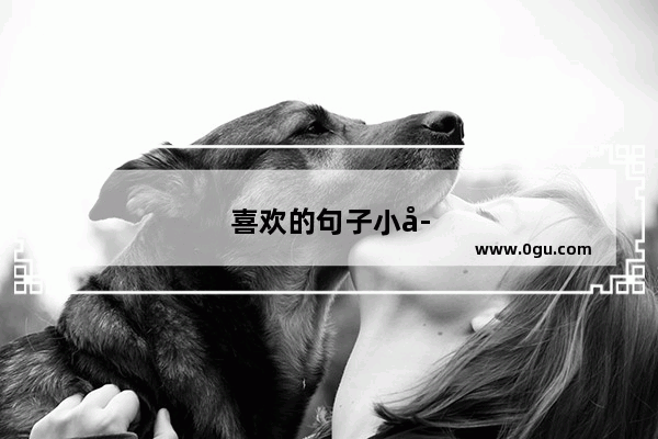 喜欢的句子小学生