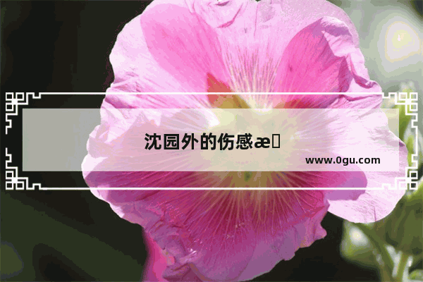 沈园外的伤感文案