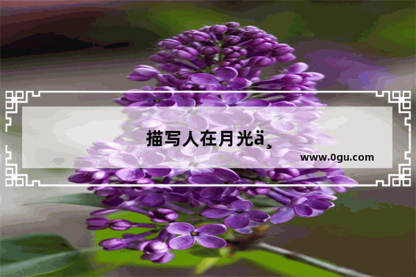描写人在月光下睡着的句子