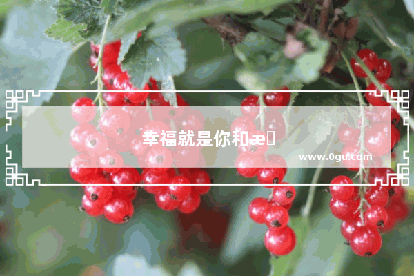 幸福就是你和我句子摘抄