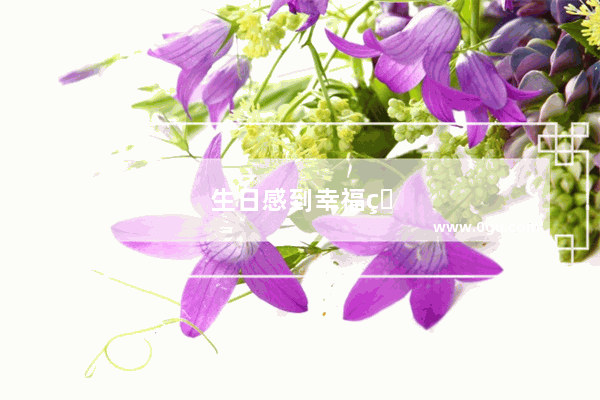 生日感到幸福的句子简短