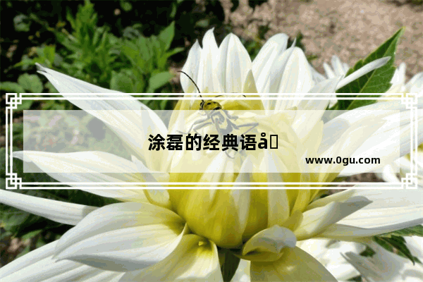 涂磊的经典语句
