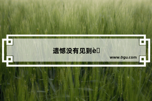 遗憾没有见到自己想见的人的说说