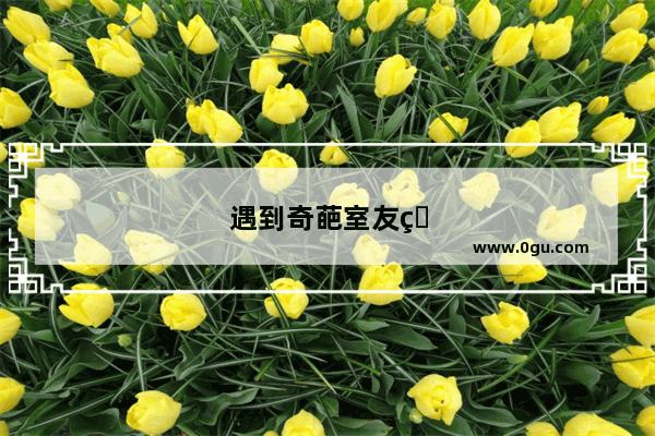 遇到奇葩室友的说说
