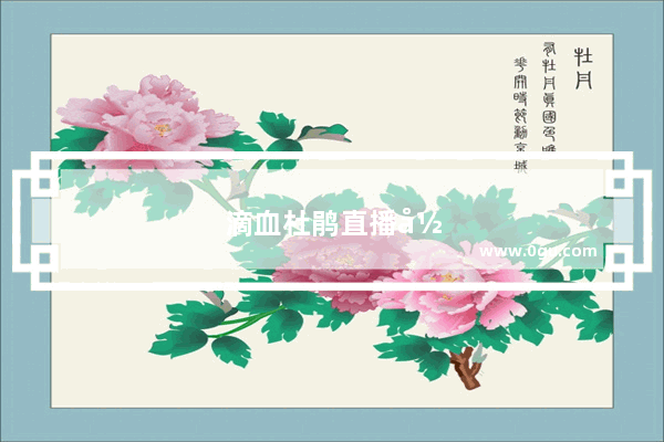 滴血杜鹃直播录屏经典语录