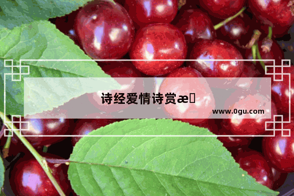 诗经爱情诗赏析