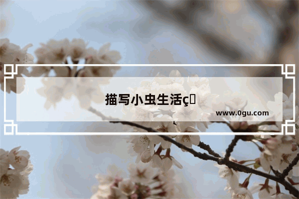 描写小虫生活的句子