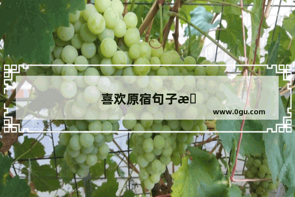 喜欢原宿句子怎么说