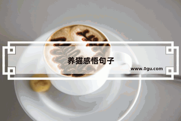 养猫感悟句子