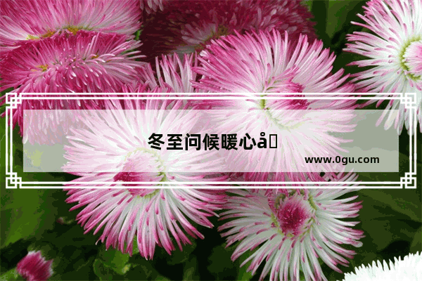 冬至问候暖心句子简短