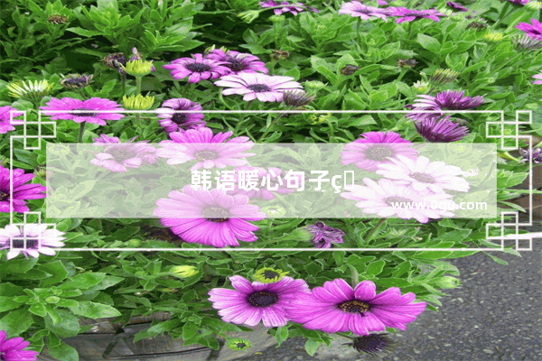 韩语暖心句子短句大全