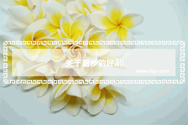 关于跑步的好句段