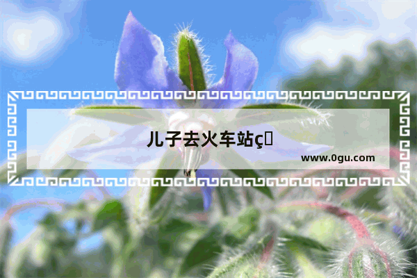 儿子去火车站的心情句子简短