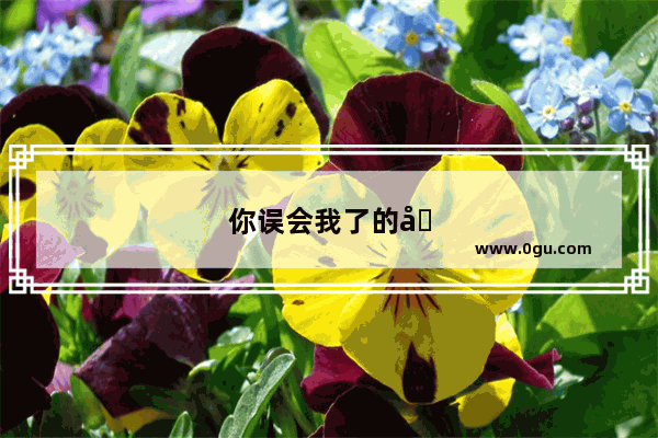 你误会我了的句子