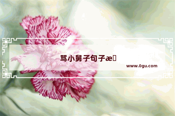 骂小舅子句子搞笑图片
