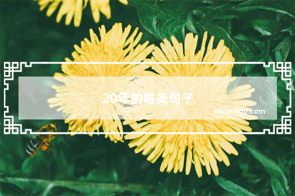 20年的唯美句子短句图片