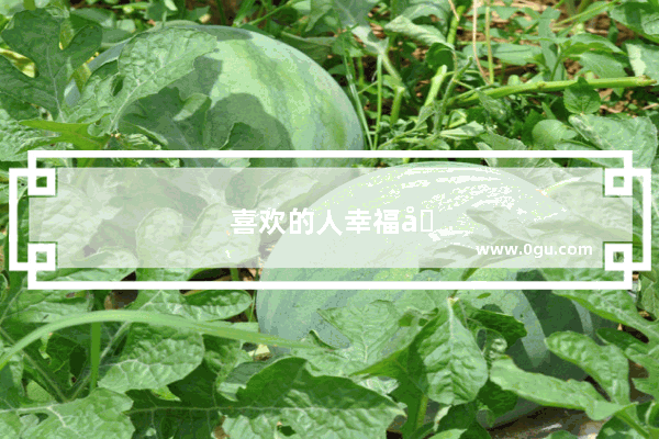 喜欢的人幸福句子简短
