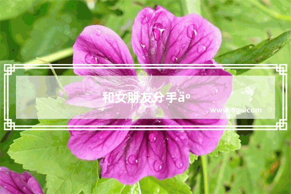 和女朋友分手了 但是我还是很爱她 我放不下 我该怎么办