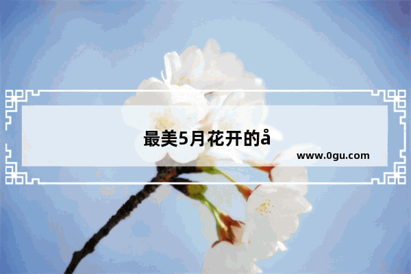 最美5月花开的季节描写睡莲的句子