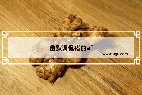 幽默调侃猪的句子