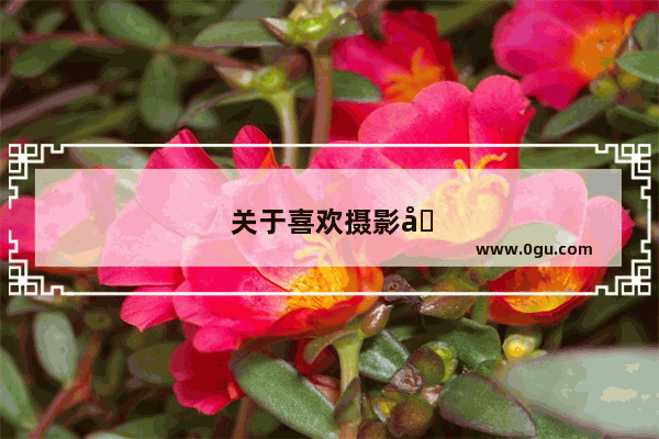 关于喜欢摄影句子摘抄