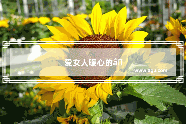 爱女人暖心的句子