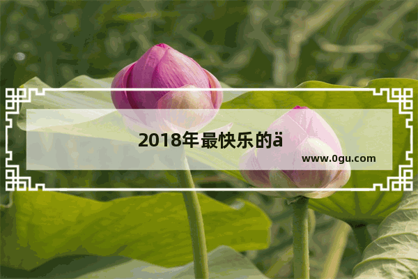 2018年最快乐的一年说说