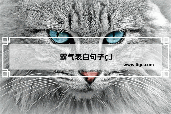 霸气表白句子男追女